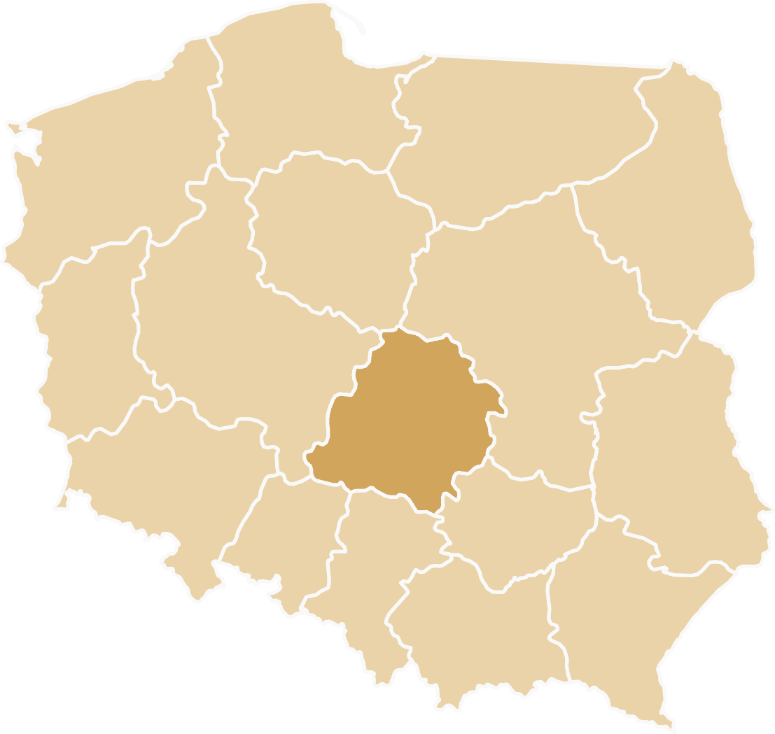 Tiry zastępcze dostępne w województwie łódzkim - Łódź, Piotrków Trybunalski, Bełchatów