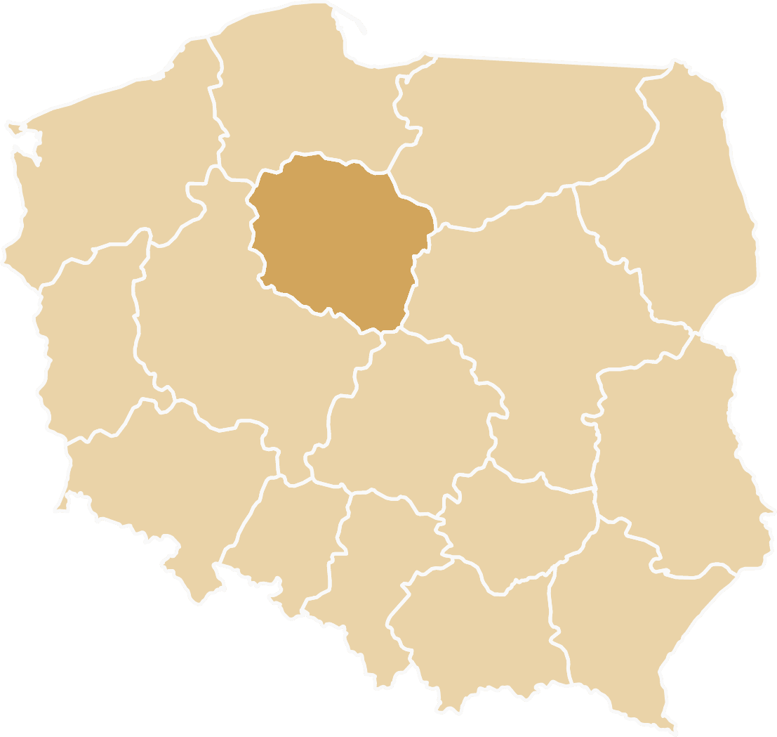 Tiry zastępcze dostępne w województwie kujawsko-pomorskim - Toruń, Bydgoszcz, Włocławek