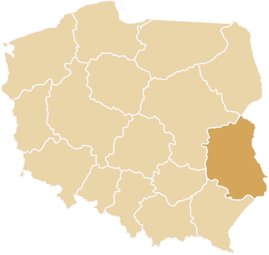 Tiry zastępcze dostępne w województwie lubelskim - Lublin, Chełm, Biała Podlaska