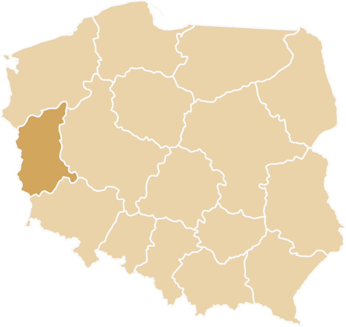 Tiry zastępcze dostępne w województwie lubuskim - Zielona Góra, Gorzów Wielkopolski, Żary