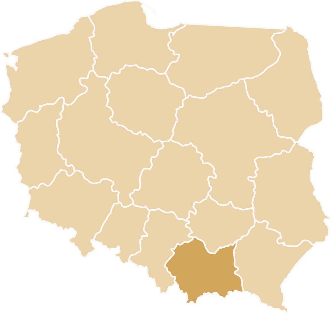 Tiry zastępcze dostępne w województwie małopolskim - Kraków, Tarnów, Nowy Sącz