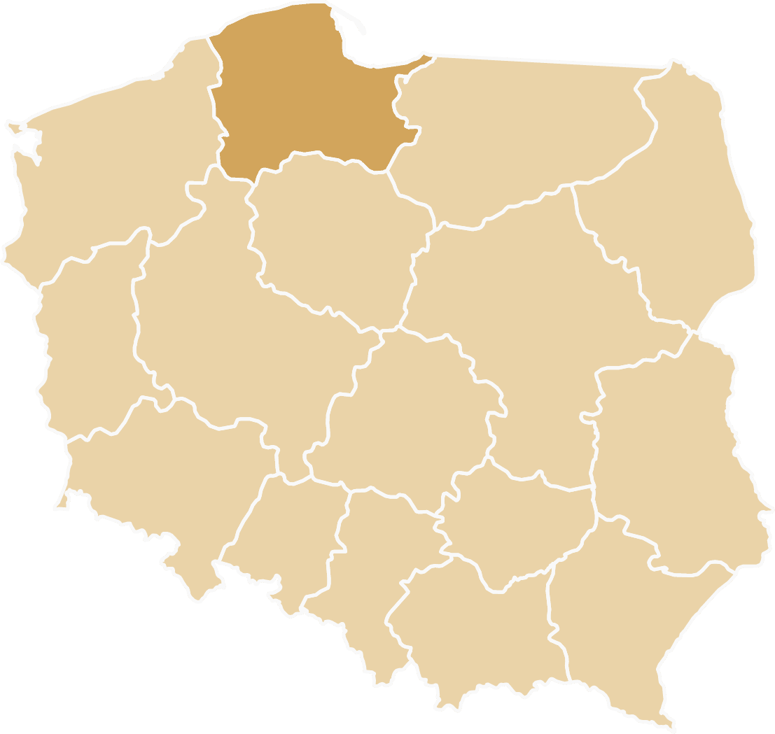 Tiry zastępcze dostępne w województwie pomorskim - Gdańsk, Gdynia, Sopot, Trójmiasto